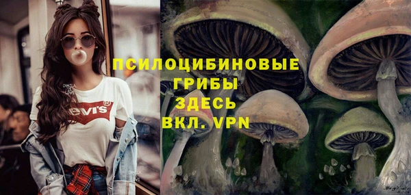 прущая мука Кинешма