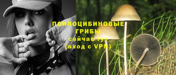 прущий лед Киренск